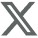 X Icon